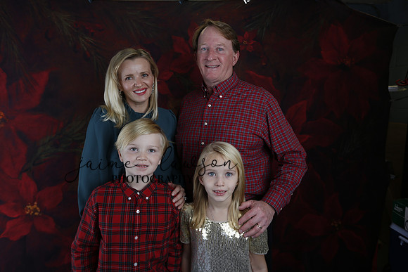 2020 Holiday Mini Session - Sharkey
