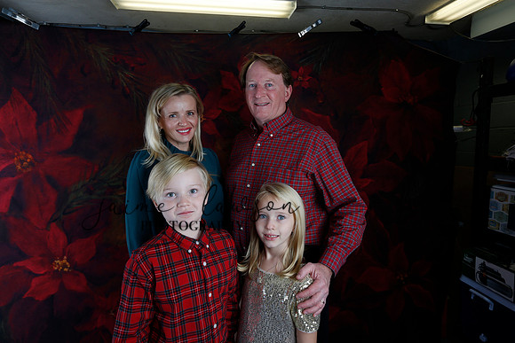 2020 Holiday Mini Session - Sharkey