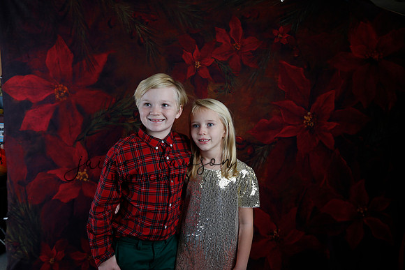 2020 Holiday Mini Session - Sharkey
