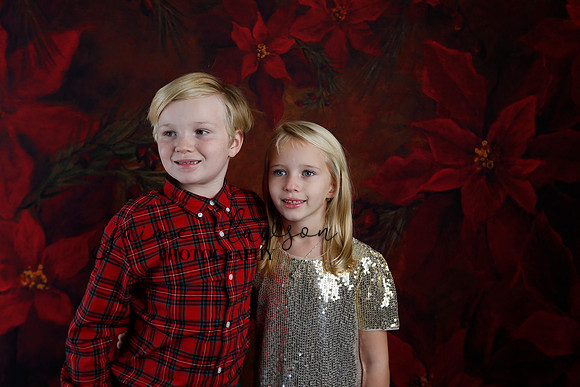 2020 Holiday Mini Session - Sharkey