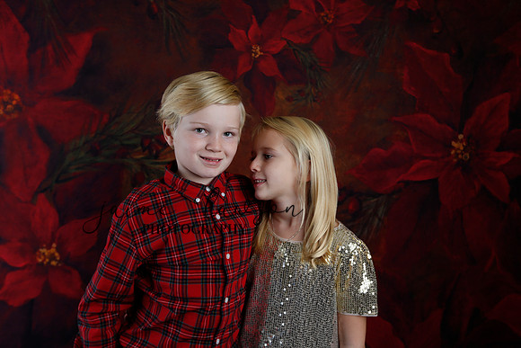 2020 Holiday Mini Session - Sharkey