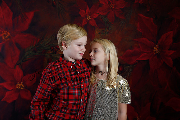 2020 Holiday Mini Session - Sharkey