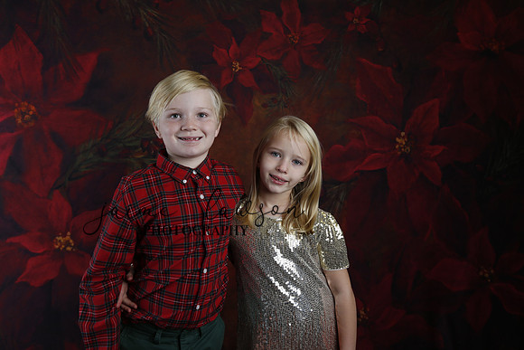 2020 Holiday Mini Session - Sharkey