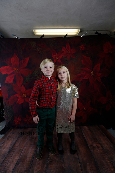 2020 Holiday Mini Session - Sharkey