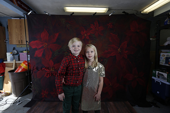 2020 Holiday Mini Session - Sharkey