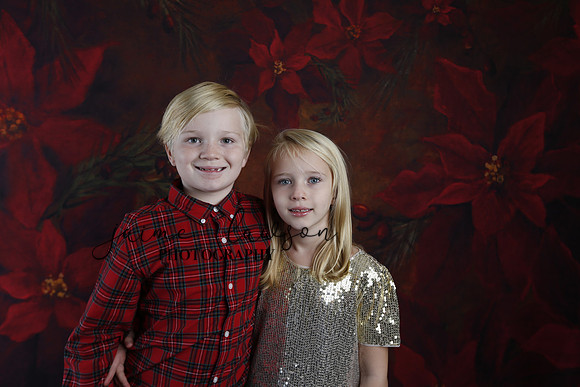 2020 Holiday Mini Session - Sharkey