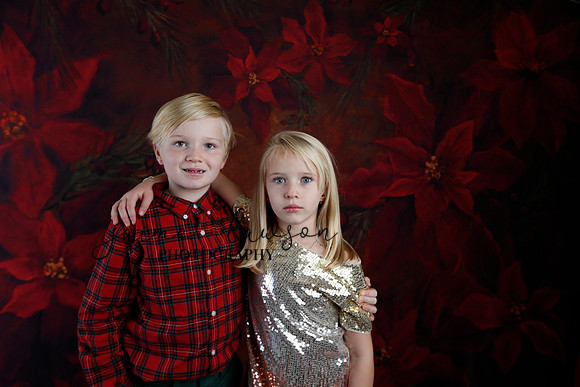2020 Holiday Mini Session - Sharkey