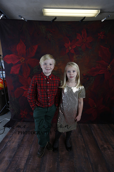 2020 Holiday Mini Session - Sharkey