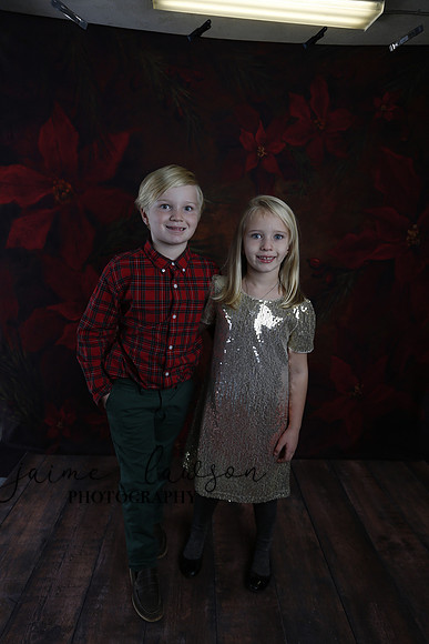 2020 Holiday Mini Session - Sharkey
