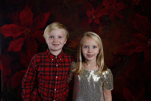 2020 Holiday Mini Session - Sharkey