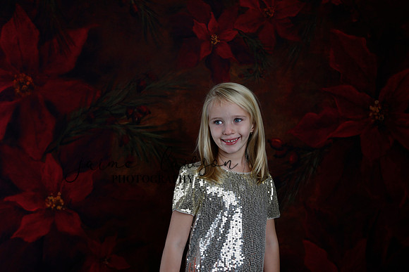 2020 Holiday Mini Session - Sharkey