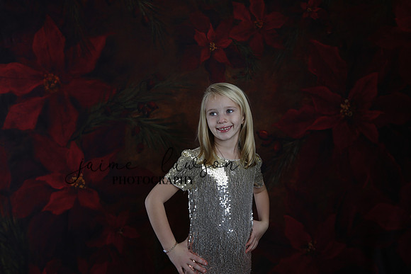 2020 Holiday Mini Session - Sharkey