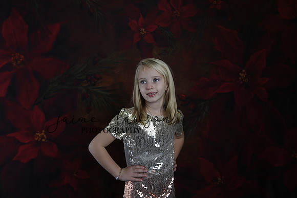 2020 Holiday Mini Session - Sharkey