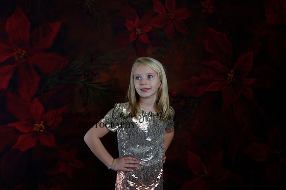 2020 Holiday Mini Session - Sharkey