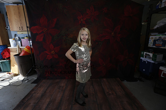 2020 Holiday Mini Session - Sharkey