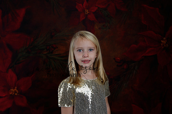 2020 Holiday Mini Session - Sharkey