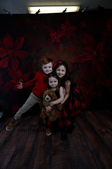 2020 Holiday Mini Session - Onuska