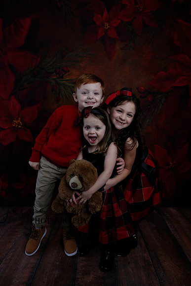 2020 Holiday Mini Session - Onuska