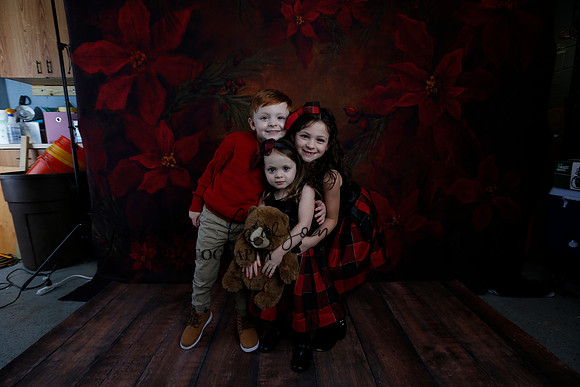 2020 Holiday Mini Session - Onuska
