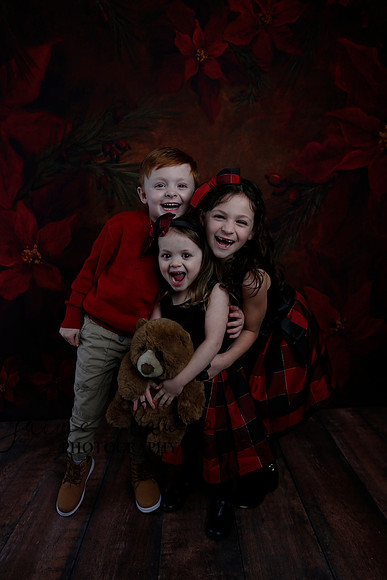 2020 Holiday Mini Session - Onuska