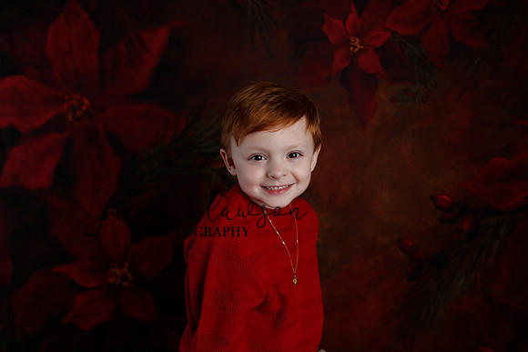 2020 Holiday Mini Session - Onuska