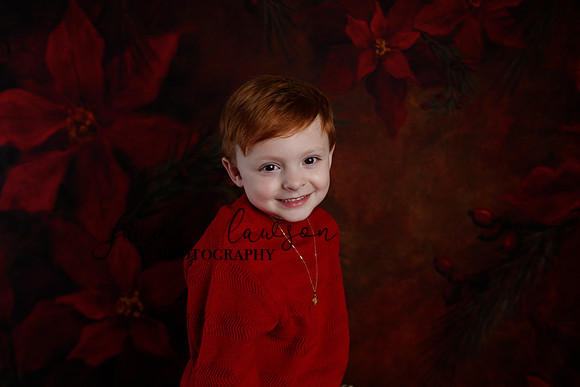 2020 Holiday Mini Session - Onuska