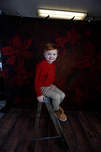 2020 Holiday Mini Session - Onuska