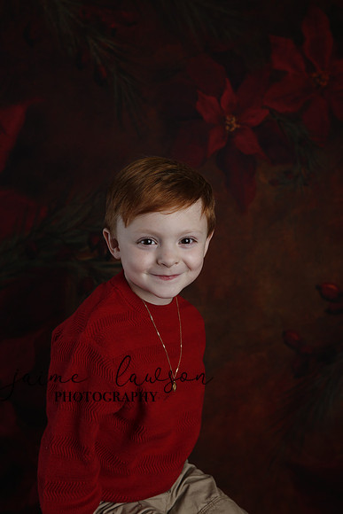 2020 Holiday Mini Session - Onuska
