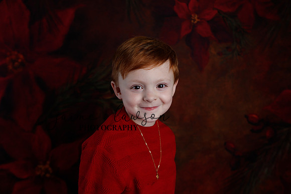 2020 Holiday Mini Session - Onuska