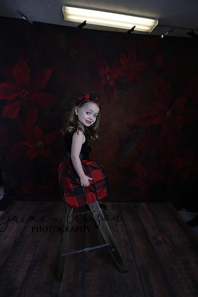 2020 Holiday Mini Session - Onuska