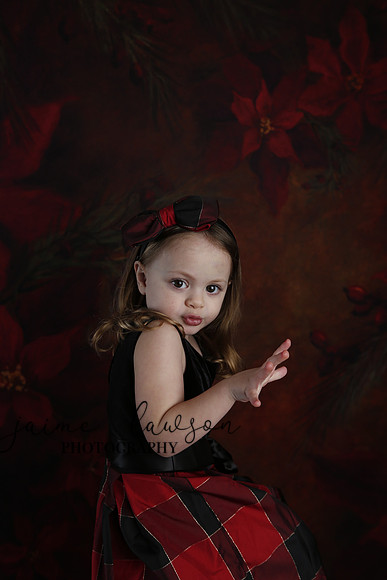 2020 Holiday Mini Session - Onuska
