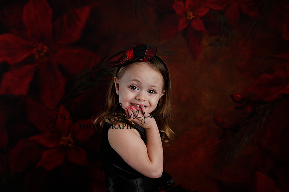 2020 Holiday Mini Session - Onuska