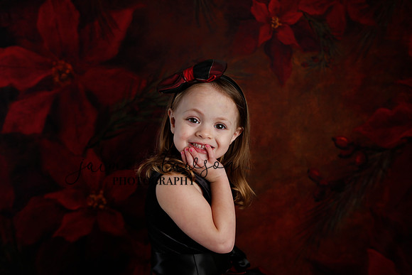 2020 Holiday Mini Session - Onuska
