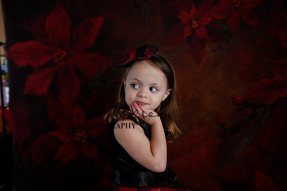 2020 Holiday Mini Session - Onuska