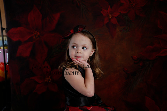 2020 Holiday Mini Session - Onuska