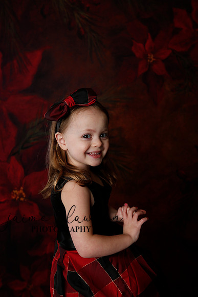 2020 Holiday Mini Session - Onuska