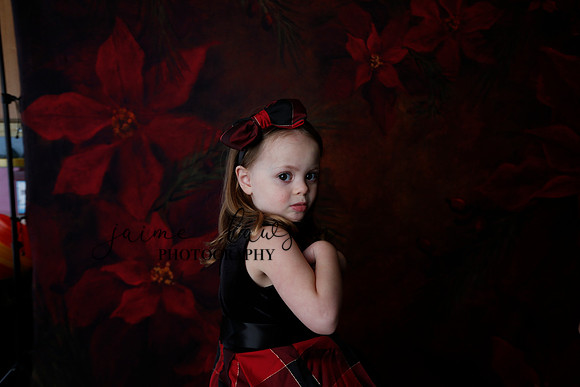 2020 Holiday Mini Session - Onuska