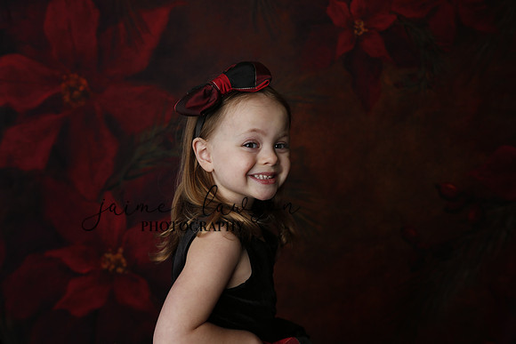 2020 Holiday Mini Session - Onuska