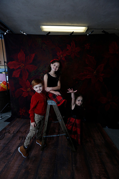2020 Holiday Mini Session - Onuska