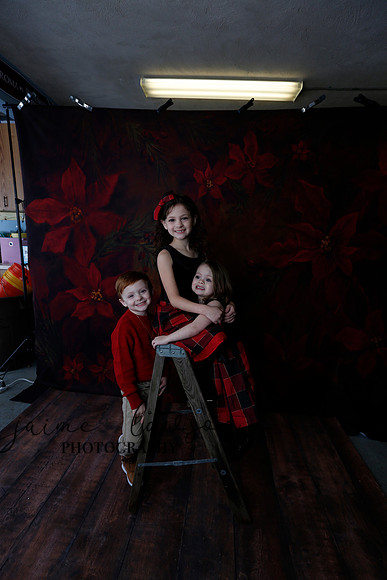 2020 Holiday Mini Session - Onuska