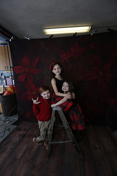 2020 Holiday Mini Session - Onuska