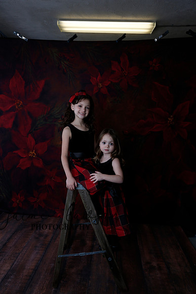 2020 Holiday Mini Session - Onuska