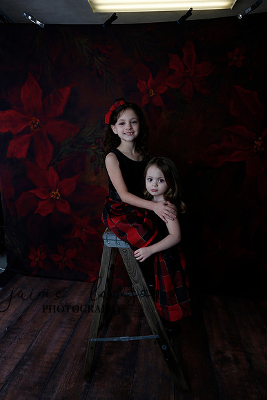 2020 Holiday Mini Session - Onuska