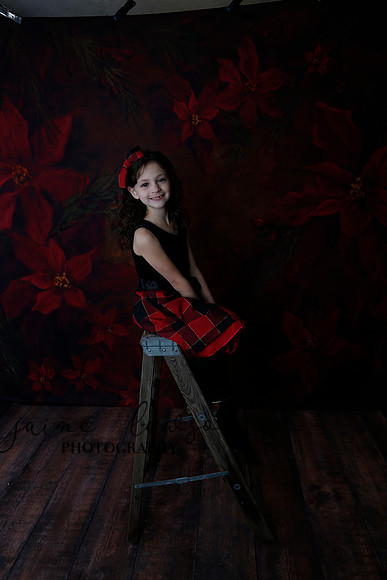 2020 Holiday Mini Session - Onuska