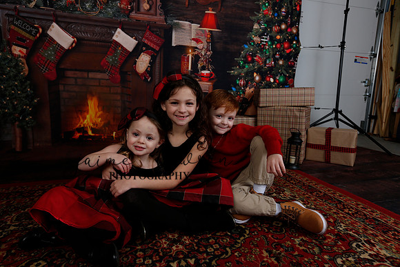2020 Holiday Mini Session - Onuska