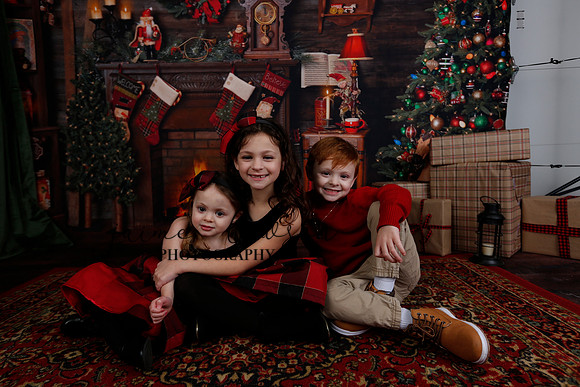2020 Holiday Mini Session - Onuska