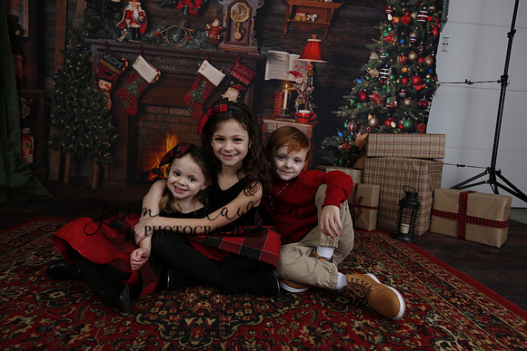 2020 Holiday Mini Session - Onuska