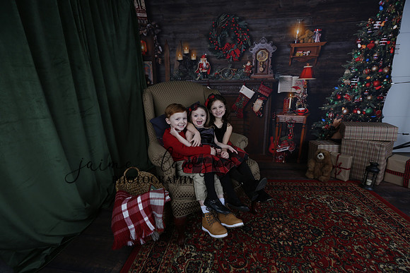 2020 Holiday Mini Session - Onuska