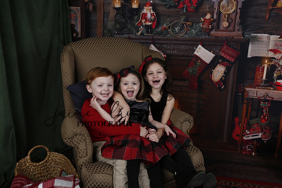 2020 Holiday Mini Session - Onuska