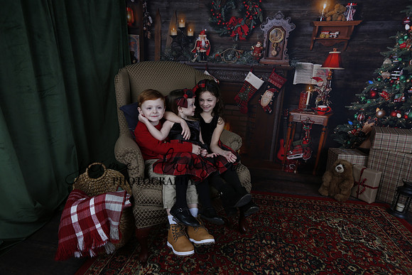 2020 Holiday Mini Session - Onuska